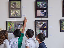 Exposition grands singes - Agrandir l'image, .JPG 4,8 Mo (fenêtre modale)